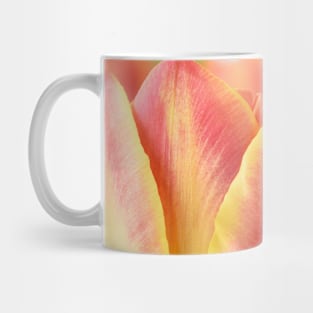 Tulipa 'Candy Corner' Triumph Tulip Mug